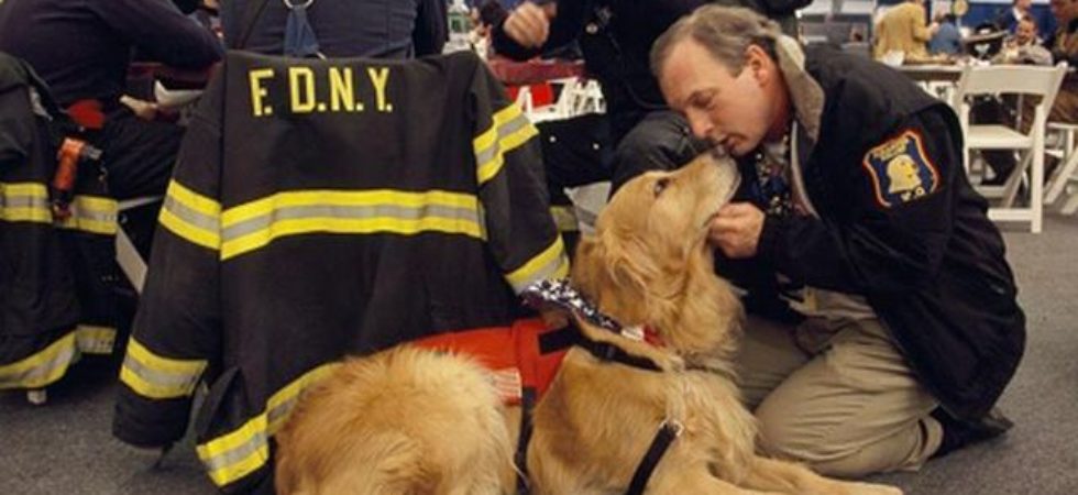 Humane rescue dogs were used after the 9-11 attacks